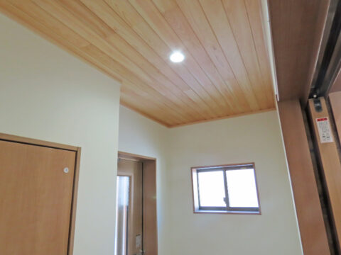 room-sino-m-20218820